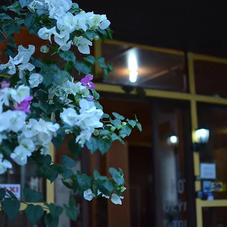 Hotel Olympic Torch Ancient Olympia