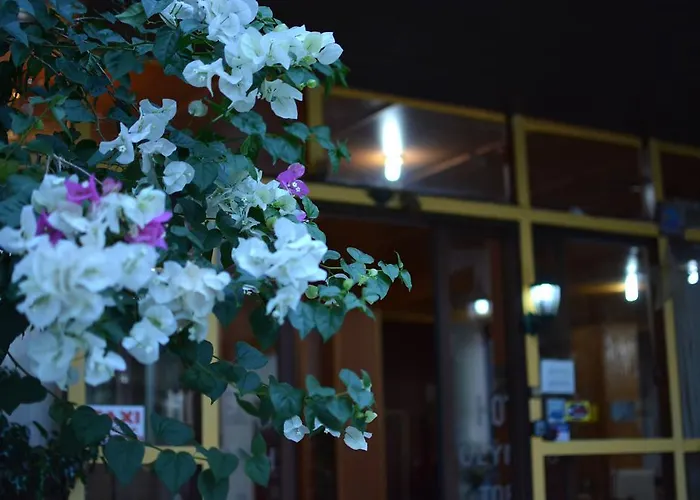 Hotel Olympic Torch Olimpia